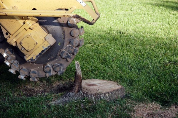 Stump Grinding Service