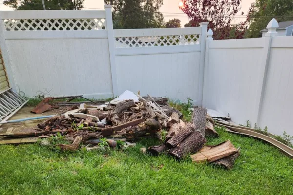 Tree Removal Service